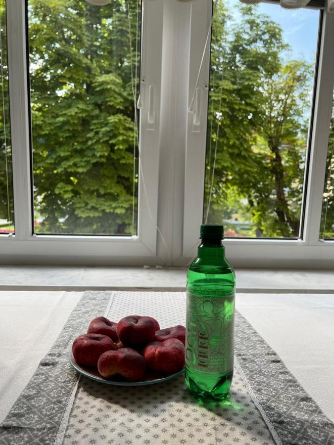 Apartment Juliana Рогашка Слатина Экстерьер фото