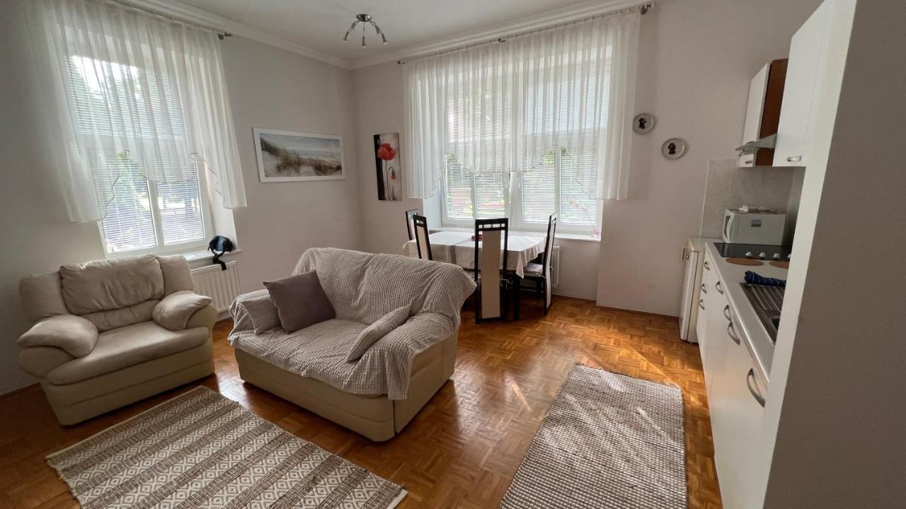 Apartment Juliana Рогашка Слатина Экстерьер фото