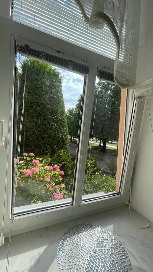 Apartment Juliana Рогашка Слатина Экстерьер фото